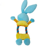 Colorful Squeaker Dog Toy