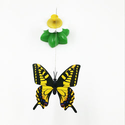 Beautiful butterfly/bird