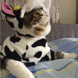Funny Cows Cat Clothing