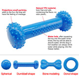 Summer Chew Toys