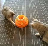Fascinating Tower Cat Toy
