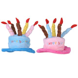 Cute Holiday Pet Hat