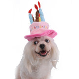 Cute Holiday Pet Hat