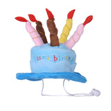 Cute Holiday Pet Hat