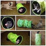 Amazing Green Cat Tunnel